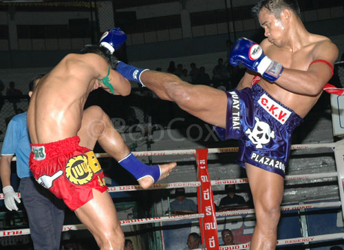 4836930783_2179282ec4