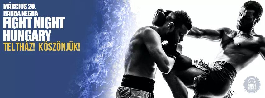 Fight Night Hungary 2015.03.29. – Eredmények